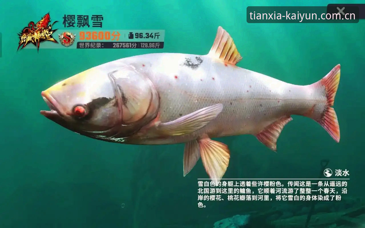 揭秘kaiyun乐鱼：开云投注官网如何成为体育博彩行业的信任标杆